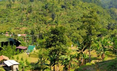 Paket Camping Mandiri